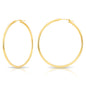 14k Gold Classic Hoop Earrings