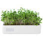 Back to the Roots New Kitchen Garden Complete Herb Kit