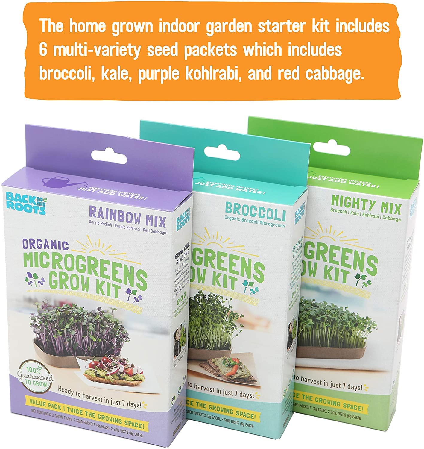 Back to the Roots New Kitchen Garden Complete Herb Kit