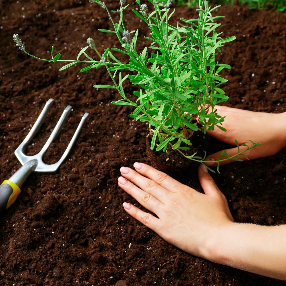 Back to the Roots New Kitchen Garden Complete Herb Kit